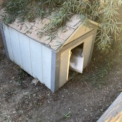 Large Dog House
