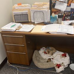 1 Regular Desk With Draws On Side