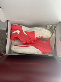 KD7 Egg Nog Sz 12