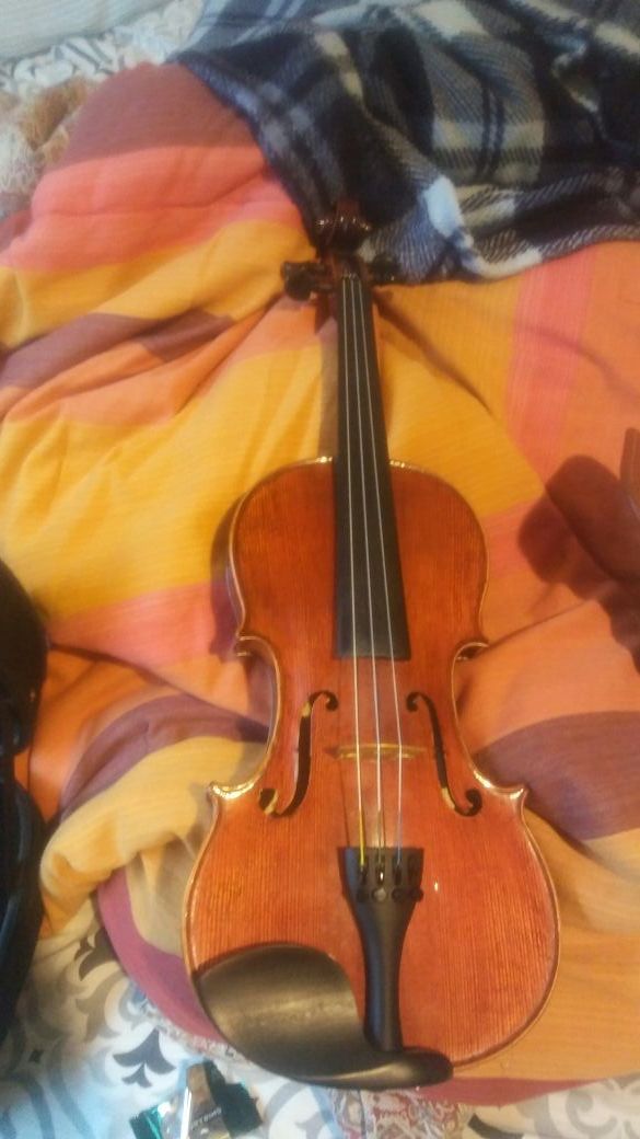Violin