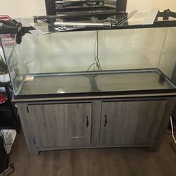 55 Gal Tank w/ Lid, Stand, Heater, Life Support Filter System, & Lights $200 Ea