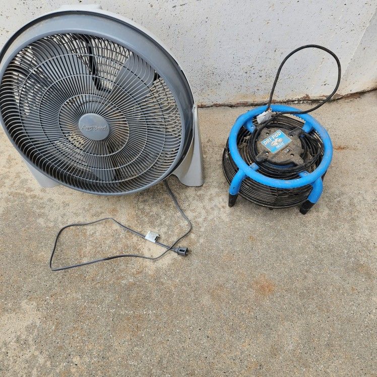 Fans $50