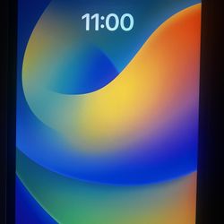 Apple iPad Pro 4th Generation 