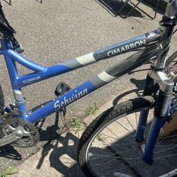 Bike Needs Tlc 