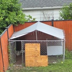 10 Ft X 10 Ft Dog Kennel