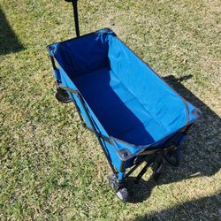 Foldable Wagon