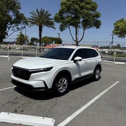 2023 Honda crv