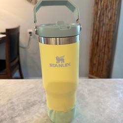 Stanley 26oz. with Protective Boot