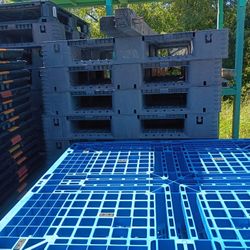 Plastic Pallets 