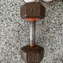 20 Pound Dumbbell 