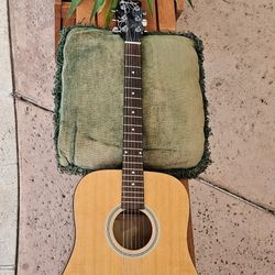 Acoustic Guitar 