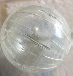 X large hamster ball