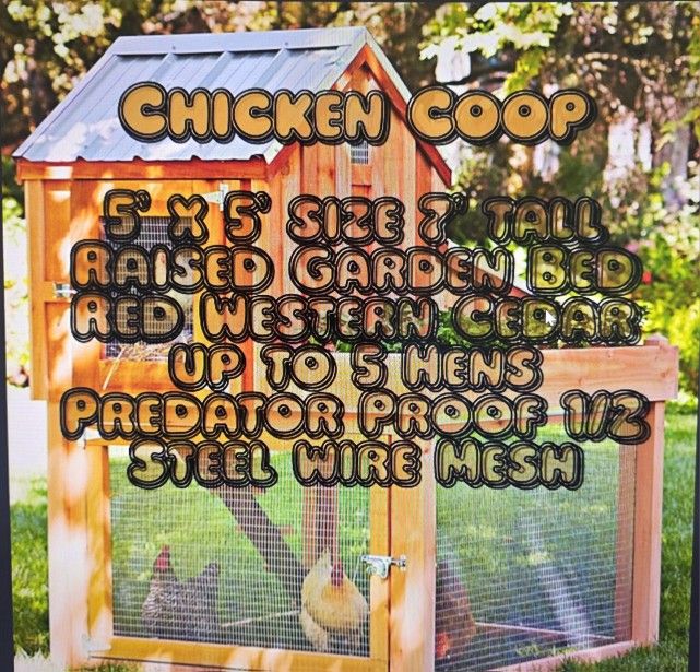 Get Free Organic Eggs Chicken Hen Coop For Sale