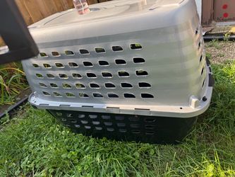 Pet carrier