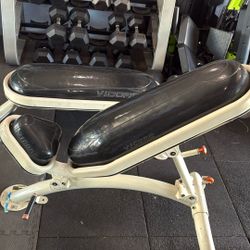 Vicore Bench Flat And Incline