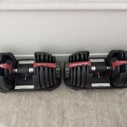 BowFlex Adjustable Dumbbells Set of 2