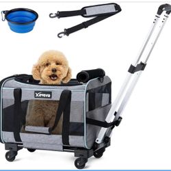 Dog and Cat Carrier