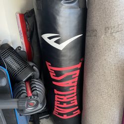 Everlast Heavybag 