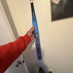 Softball Bat
