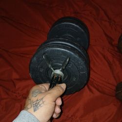 Weights