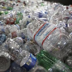 FREE FREE A trashcan full of beverage bottles for free