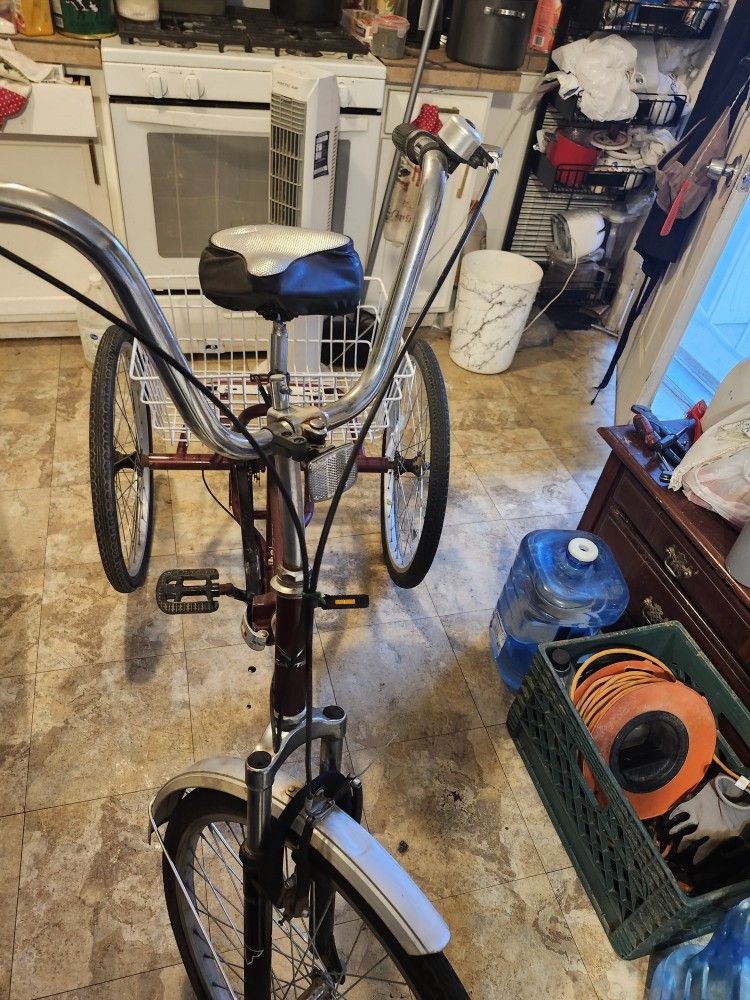 TROSCIKL 3WHEEL 24INCH  FOLDING 7SPEED WORK  MANTIS    PERFECT EVERYTHING IS GOOD 