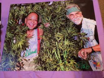 Cheech and Chong signed photo 11-14