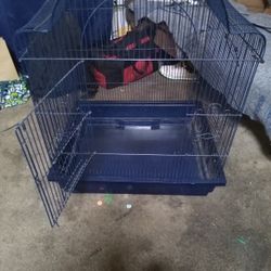 Big Bird Cage