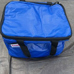 Costco Cooler