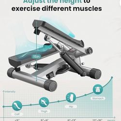 Stair Stepper TBJ-J01-Gy Never Been Used! Brand New!