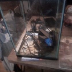 Fish Tank.