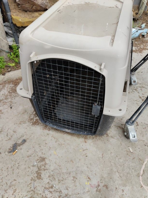 Dog Kennel
