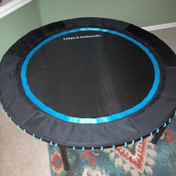 Leaps & Bounds Rebounder- 48” Large Exercise Trampoline - Excellent Condition!