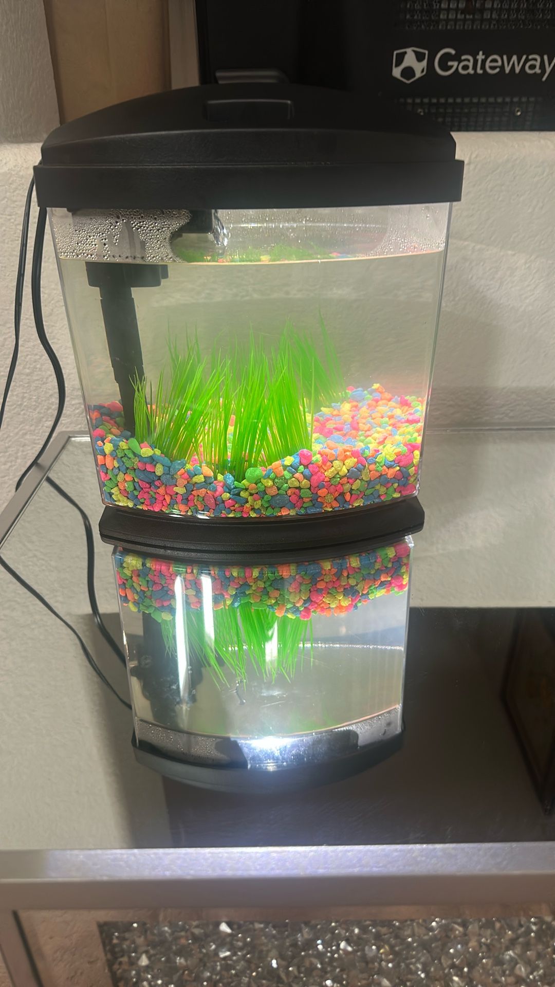 Fish Tank Starter