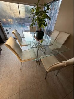 Set of 6 dinner table chairs