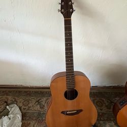 Breedlove Passport D200/SMP Acoustic Guitar (Atlas Series) 🎸