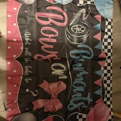 Large Gender Reveal Backdrop/ Banner 