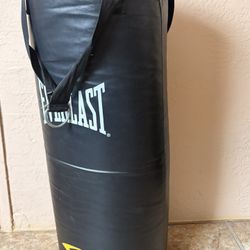 Everlast Punching Bag 