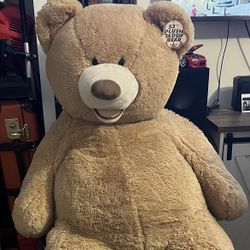 Costco Teddy Bear 