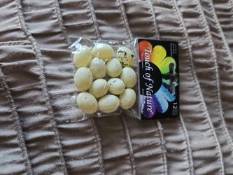 Touch Of Nature Miniature Plastic Bird Eggs .5" 12/Pkg-Beige W/Brown Speckles

