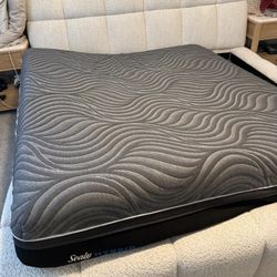 Free King Sealy Mattress 