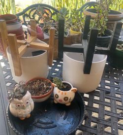 Pots & Plants