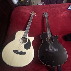 12 String Acoustic Guitar & 5 String Acoustic Bass