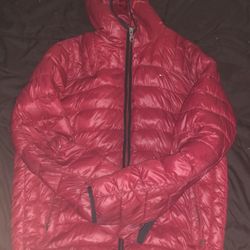 Tommy Hilfiger Bubble Coat “Maroon”