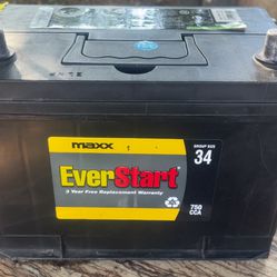Everstart Maxx Battery 