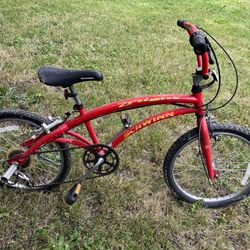 Schwinn Five Speed Bike 