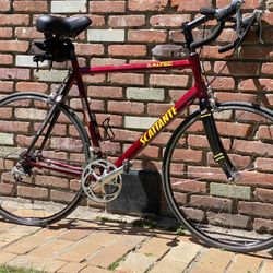 60cm Scattante Altec Columbus Frame Bike 