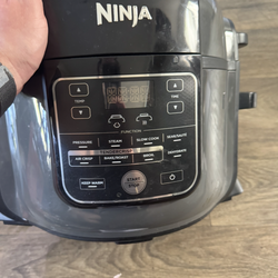 The Ninja Foodi OP305CO