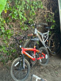 Mongoose bike