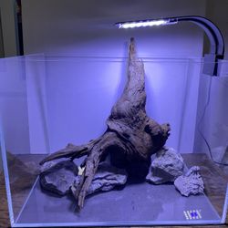 Fish Tank Aquascape 